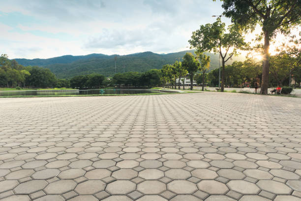 Best Best Driveway Pavers  in Buffalo Grove, IL